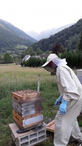 Philippe et ses ruches