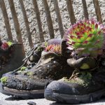 chaussures-pot de fleur