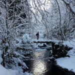 Raquettes au Pont de Bourdax Raquettes pont de bourdax